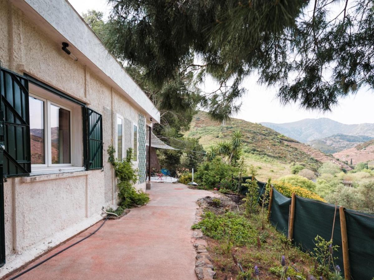 Maison F2 Independante Avec Terrasse, Climatisation Et Wifi A Banyuls-Sur-Mer - Fr-1-309-262 Exterior foto
